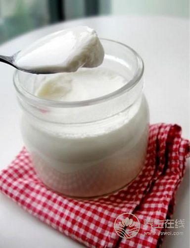 生活中7種食物富含益生菌 常吃養腸胃