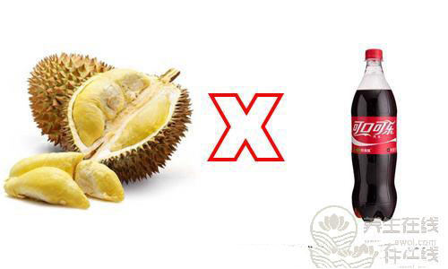 榴蓮不能和什么一起吃須知的榴蓮食用禁忌