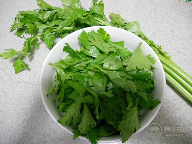 芹菜葉有這么多的養(yǎng)生功效，扔掉可惜了