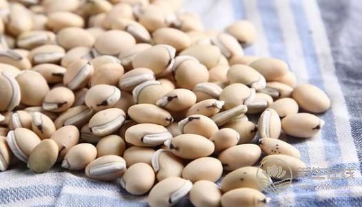 養胃的食物 五谷雜糧 養胃的食物 五谷雜糧