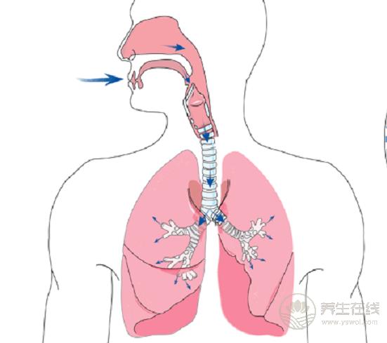 咳嗽干咳吃什么好得快，三款食療趕緊收藏了
