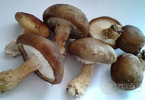 夏季養肝,多吃這些蔬菜,肝臟更健康 夏季養肝,多吃這些蔬菜,肝臟更健康