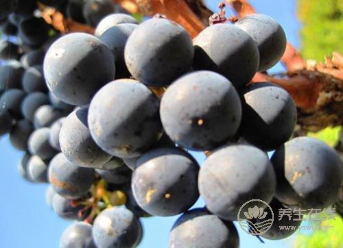 吃水果補(bǔ)鐵，黑葡萄第一名？錯(cuò)了！