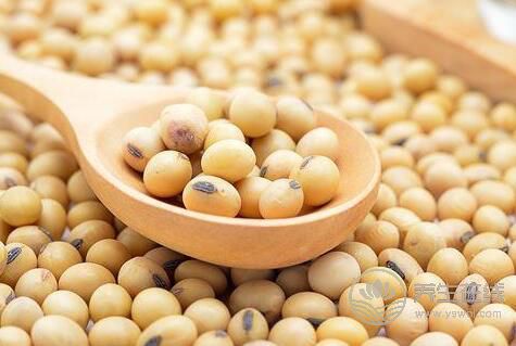 早餐喝點這個，幫你抗衰老又美肌！