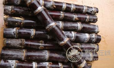 補血不想吃豬肝，那就選這些水果