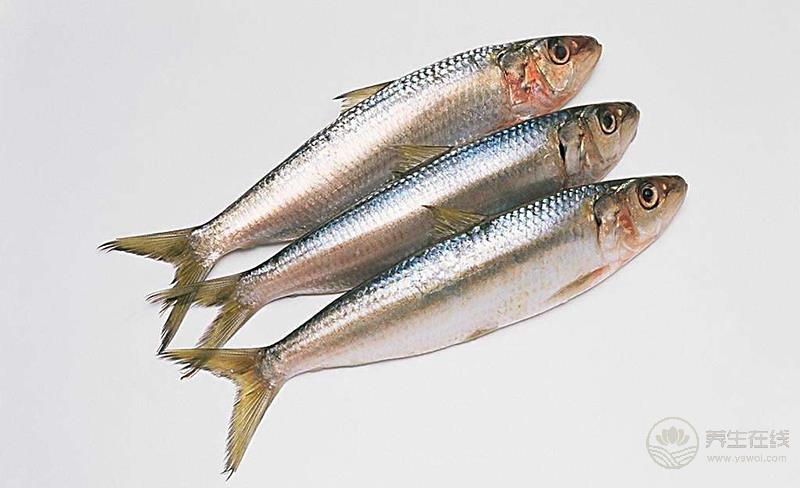 胖子福利：減肥期間可以吃5種肉，不擔心發胖