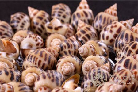 怎么做花螺好吃?花螺的營養(yǎng)價值及好處