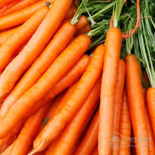 4種“換血食物”，每天吃一吃，血液越來越干凈