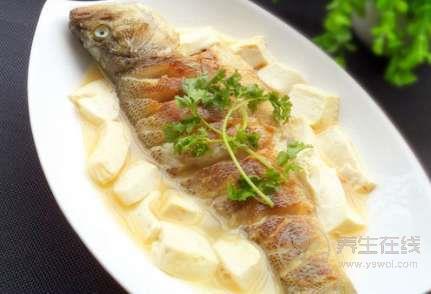 初夏吃三種魚補肝腎