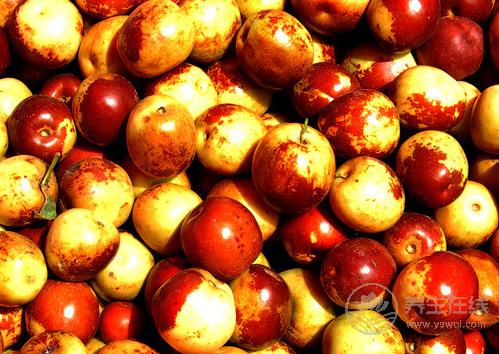 失眠吃什么？5種水果助你順利入眠