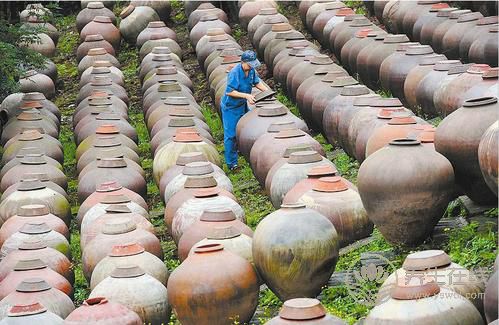 生活中7種食物富含益生菌 常吃養腸胃