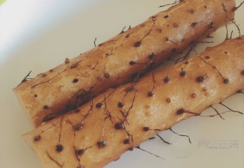 秋季易胃寒，常吃這幾種食物能改善