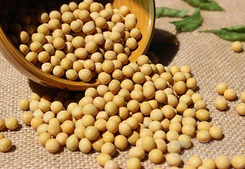 胃不好忌吃這7種食物 胃不好忌吃這7種食物