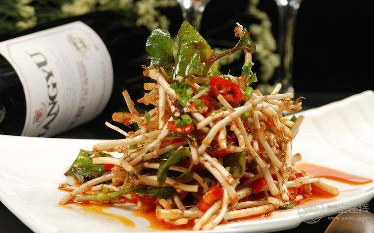 秋天總是咳咳咳，告訴你幾個食療方，趕緊用起來