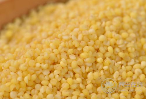 小米的5種好處，常吃小米好處多