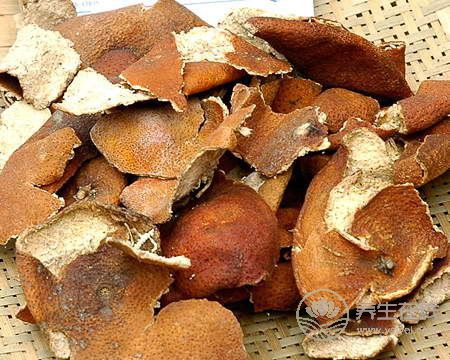 陳皮是個寶：行氣消食、燥濕化痰