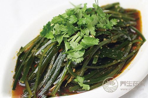 吃完海帶千萬別吃這幾樣東西