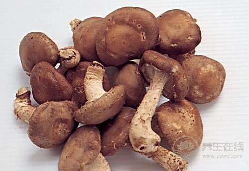常吃香菇，對身體有這些好處，你都知道嗎？