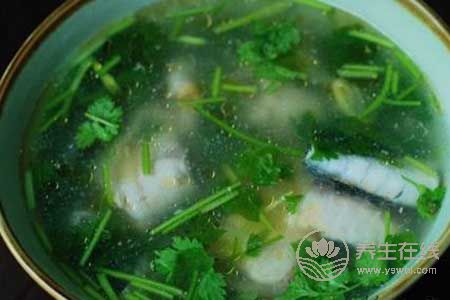 靈芝高血壓者可以吃嗎? 靈芝高血壓者可以吃嗎?