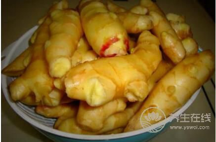 醋泡姜什么季節(jié)不能吃？醋泡姜適合什么季節(jié)吃？