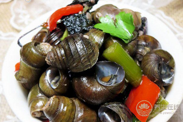 小小一片葉，用處可不小！怎么吃好？送你4個食譜