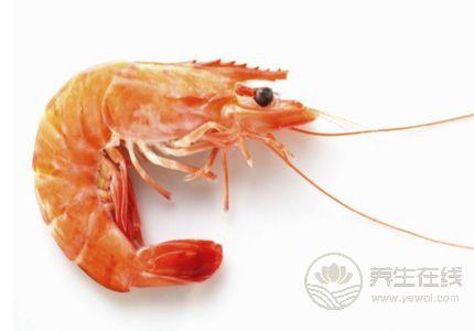 龍蝦不能和什么一起吃？吃蝦的禁忌須注意