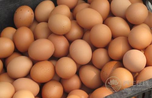 每一種“蛋”的營養都不一樣，別吃錯了