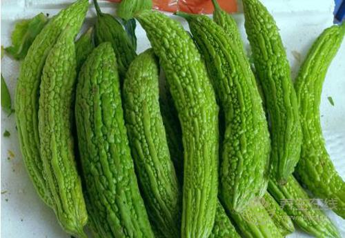 這些瓜，養生作用大，別忘了要多吃