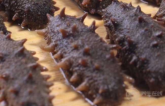 海參不能和什么一起吃？