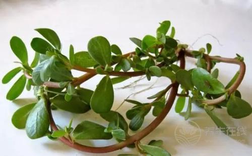 血脂高降不下來(lái)只因你沒(méi)吃這些