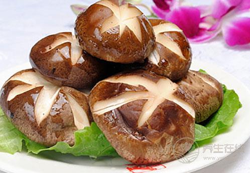 治胃病小能手,推薦這6種日常食物 治胃病小能手,推薦這6種日常食物