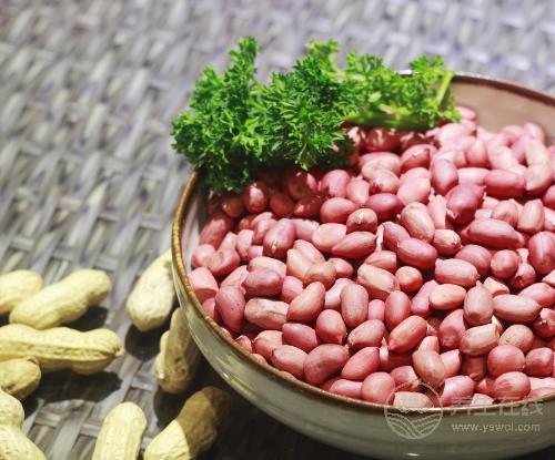 每天吃10顆花生，你會收獲這些好處！