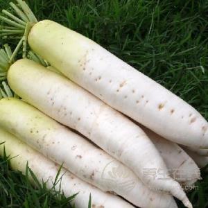 生活中有哪些食物有補血作用?補血食物推薦 生活中有哪些食物有補血作用?補血食物推薦