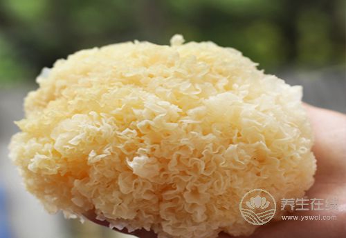 適合女性的食物，常吃能滋潤(rùn)肌膚有光澤