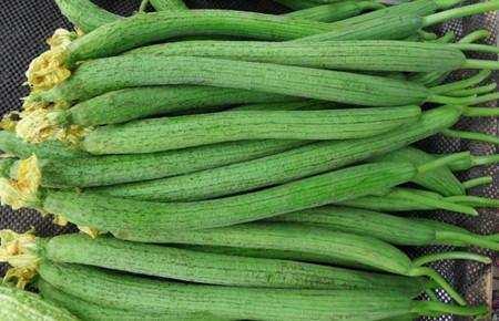 養生專家：女孩經常吃絲瓜，4個好處找上門