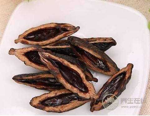 吃檳榔的五大危害,你必需知道 吃檳榔的五大危害,你必需知道