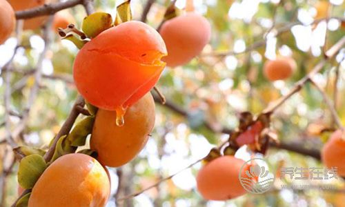 口腔潰瘍粘人數天，用6種常見的食物趕走它！