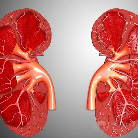 腎不好,別急著吃藥,這3種食物,能助你腎好人不倒 腎不好,別急著吃藥,這3種食物,能助你腎好人不倒