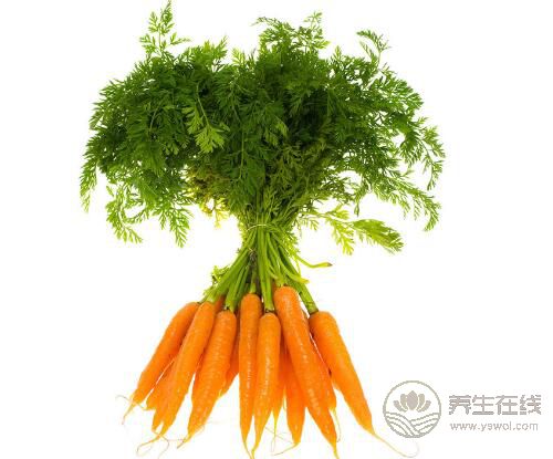 能凈化血管的5種食物，人人家里有