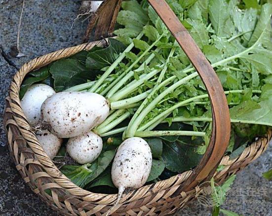 天氣寒涼吃點(diǎn)“小人參”補(bǔ)補(bǔ),三大好處你知道嗎