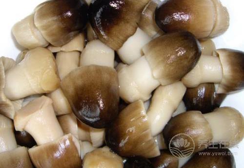 吃哪些食物可以養(yǎng)肝