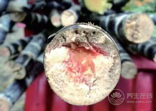 這幾種食物爛了別吃，傷肝傷腎