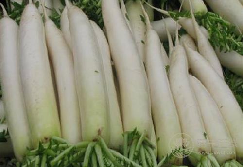 喉嚨有痰不舒服？這幾種食物能幫你改善