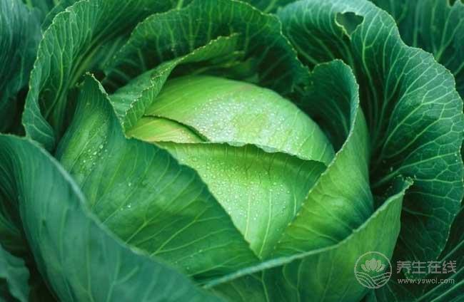 5種食物是血管清道夫，多吃保護(hù)血管