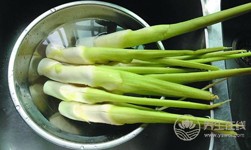 肺癌、胃癌，9種癌癥吃&quot;1&quot;種蔬菜可預(yù)防