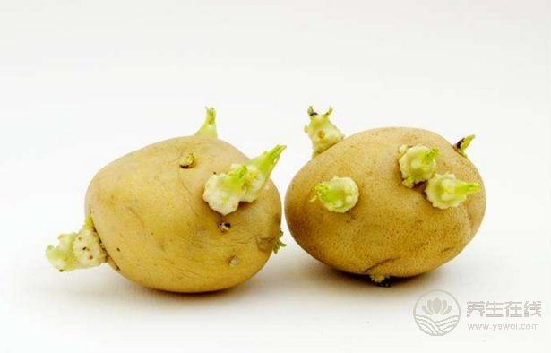 變綠發芽的土豆有毒，這幾種也不能吃