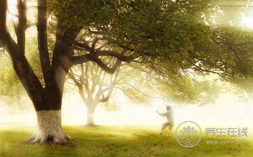 晨起運動是最好的養生方式，沒有之一