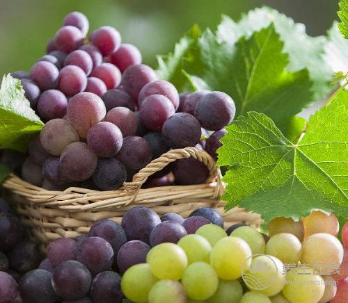 肝不好，這4種食物是養肝“高手”，不妨在家里多備些