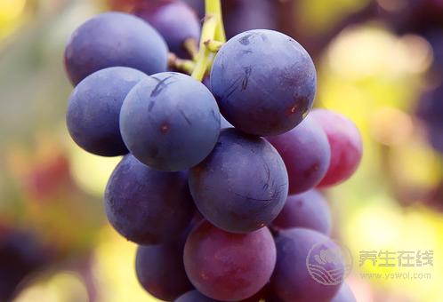 失眠吃什么？5種水果助你順利入眠