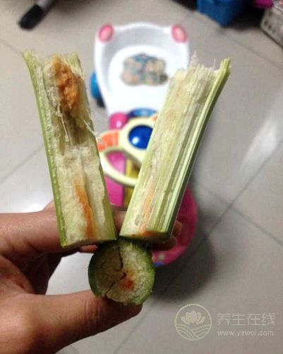 水果爛了一部分，挖掉剩下的還能吃嗎？